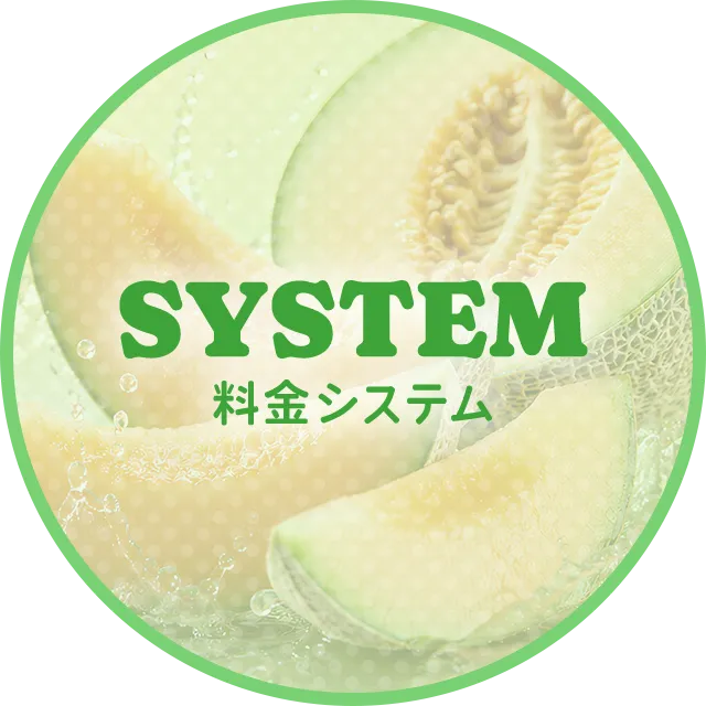SYSTEM 料金システム