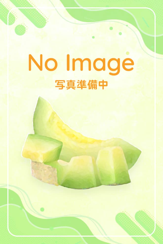 ノーイメージ